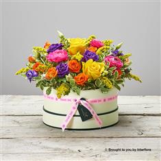  Citrus Squeeze Hatbox