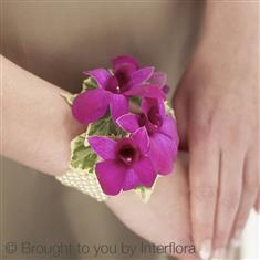 Rich Purple Dendrobium Orchid Pearl Wrist Corsage The Greenhouse Flo
